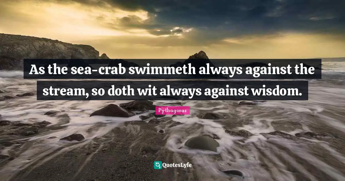As the sea-crab swimmeth always against the stream, so doth wit always against wisdom.