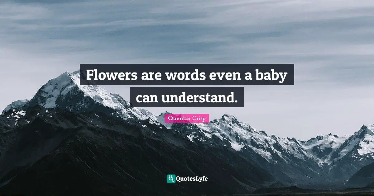 Flowers are words even a baby can understand.