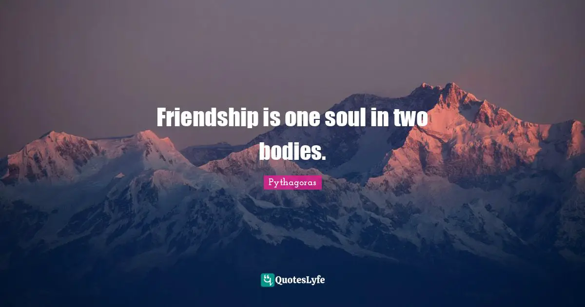 Friendship is one soul in two bodies.