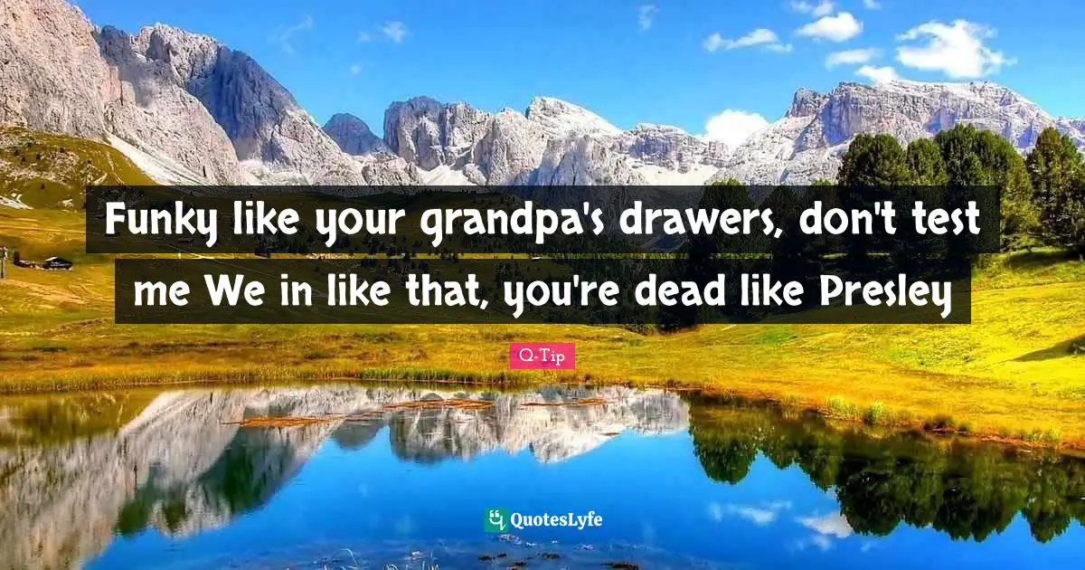 Q-Tip Quotes: "Funky like your grandpa's drawers, don't test me We in like that, you're dead like Presley"