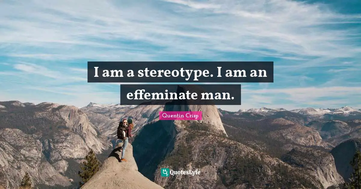 I am a stereotype. I am an effeminate man.