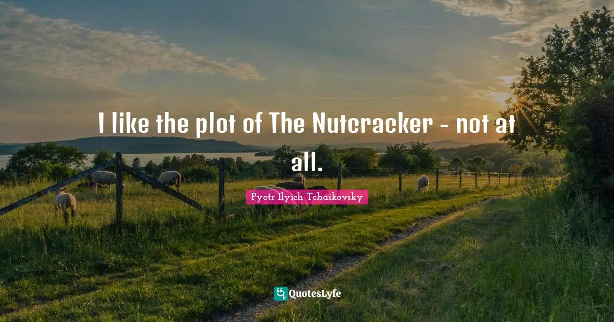 I like the plot of The Nutcracker - not at all.