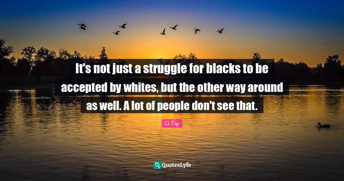 Q-Tip Quotes: "It's not just a struggle for blacks to be accepted by whites, but the other way around as well. A lot of people don't see that."