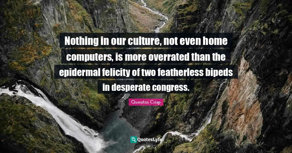 Nothing in our culture, not even home computers, is more overrated than the epidermal felicity of two featherless bipeds in desperate congress.