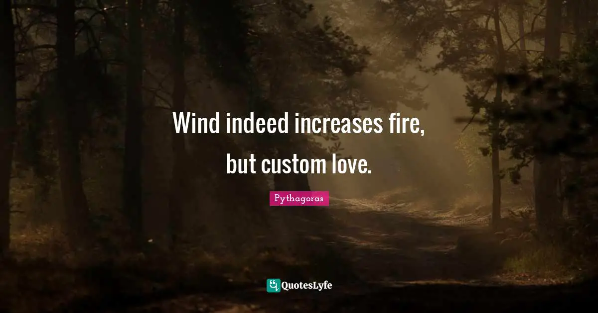 Wind indeed increases fire, but custom love.