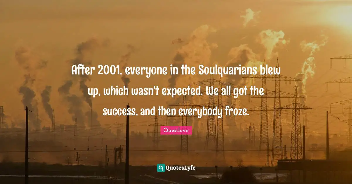 After 2001, everyone in the Soulquarians blew up, which wasn't expected. We all got the success, and then everybody froze.