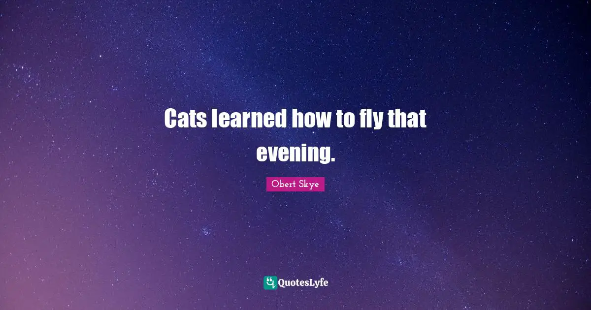 Obert Skye Quotes: "Cats learned how to fly that evening."