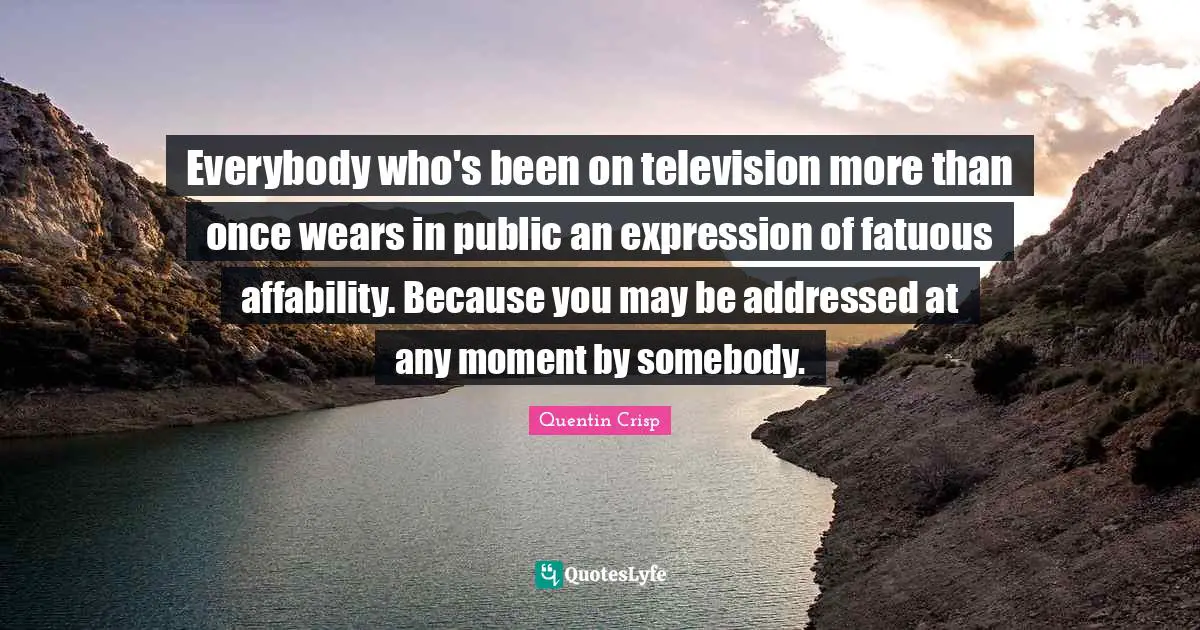 Everybody who's been on television more than once wears in public an expression of fatuous affability. Because you may be addressed at any moment by somebody.