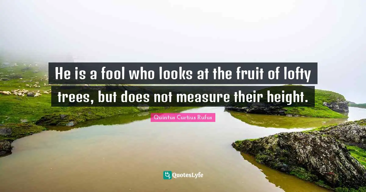 He is a fool who looks at the fruit of lofty trees, but does not measure their height.