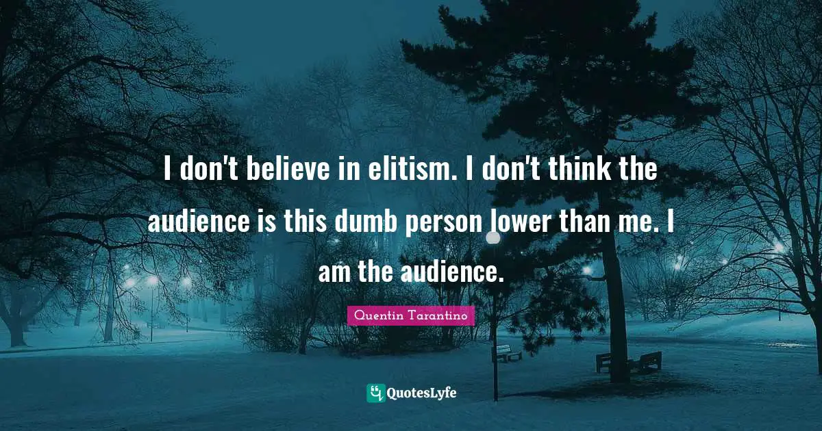 I don't believe in elitism. I don't think the audience is this dumb person lower than me. I am the audience.