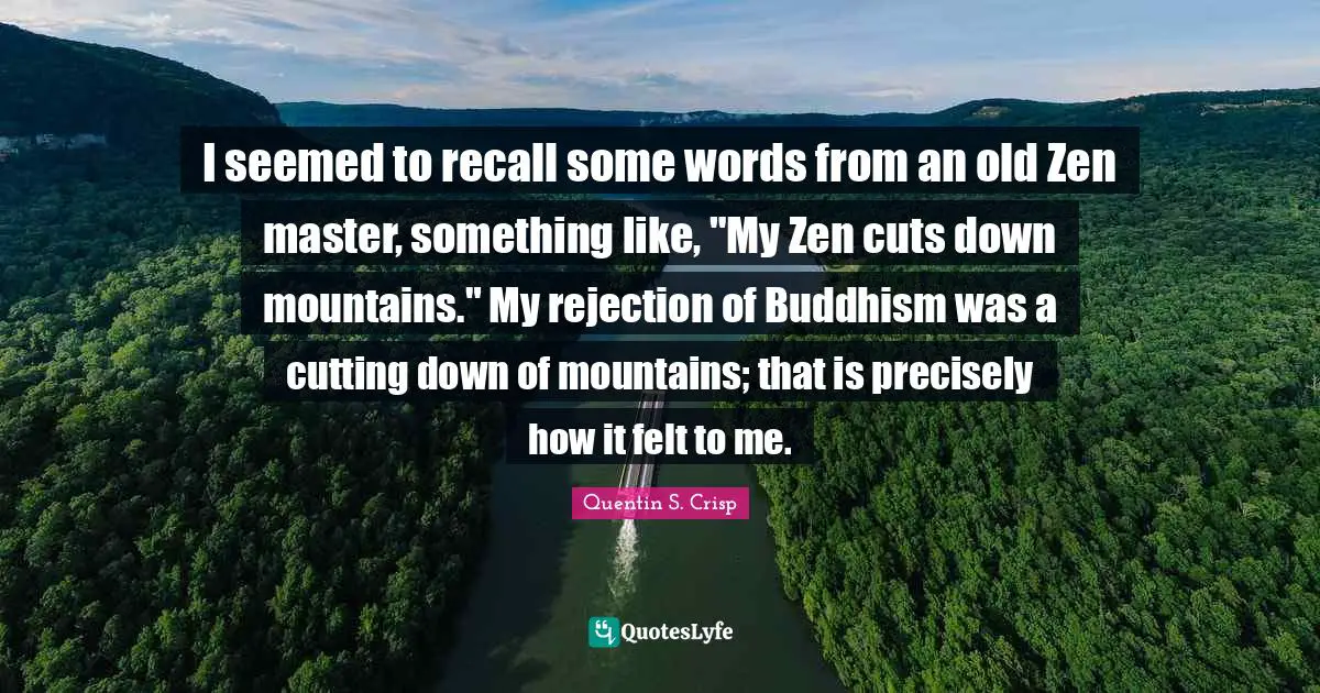 I seemed to recall some words from an old Zen master, something like, "My Zen cuts down mountains." My rejection of Buddhism was a cutting down of mountains; that is precisely how it felt to me.