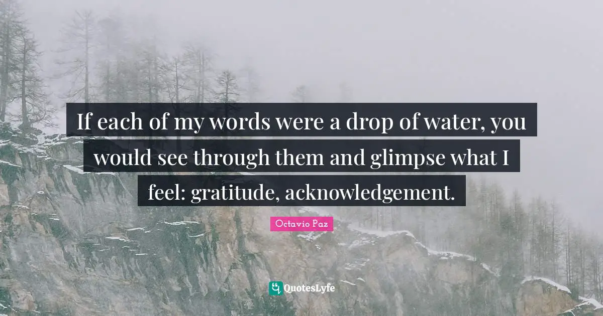 Octavio Paz Quotes: "If each of my words were a drop of water, you would see through them and glimpse what I feel: gratitude, acknowledgement."