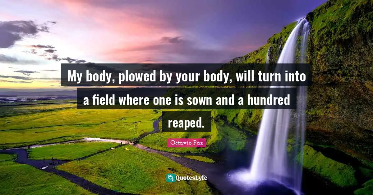 Octavio Paz Quotes: "My body, plowed by your body, will turn into a field where one is sown and a hundred reaped."