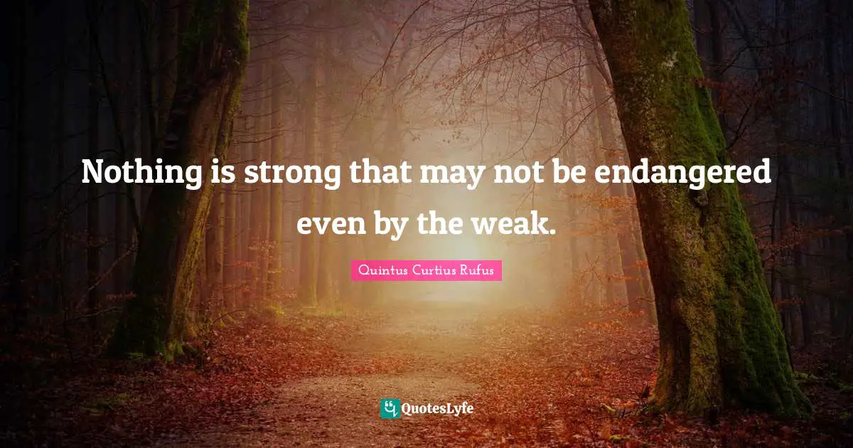 Nothing is strong that may not be endangered even by the weak.