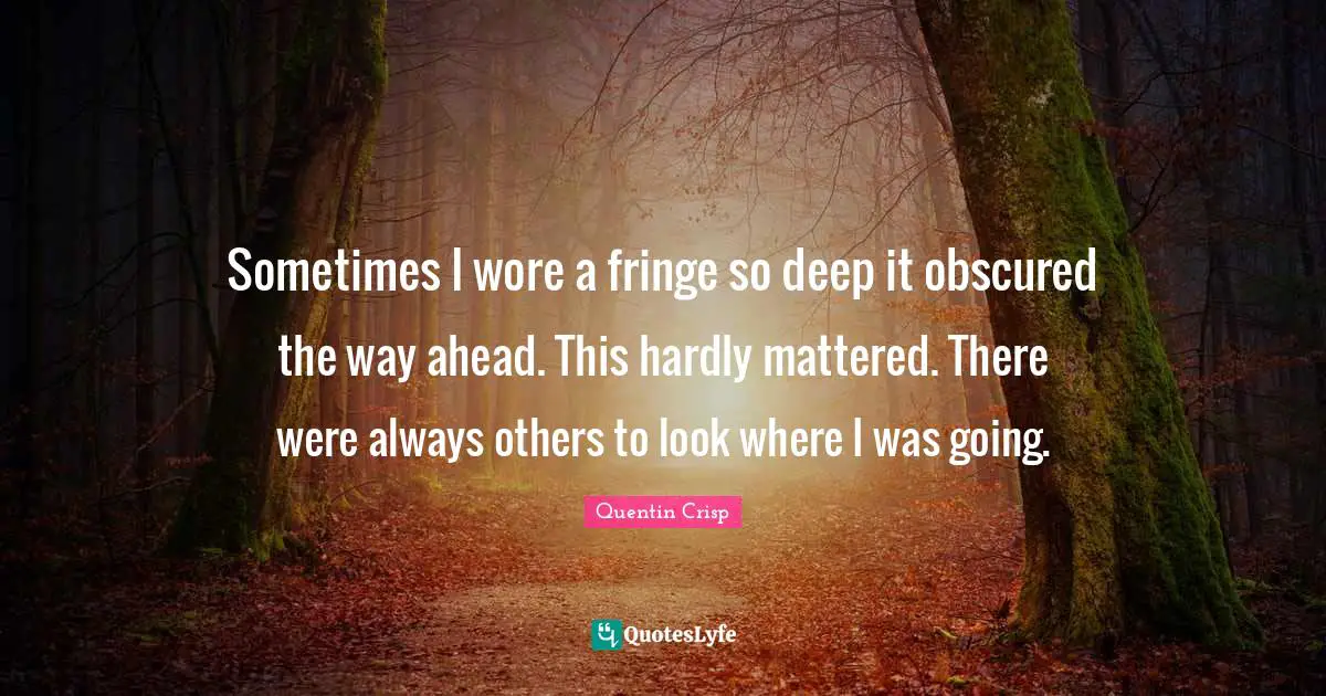 Sometimes I wore a fringe so deep it obscured the way ahead. This hardly mattered. There were always others to look where I was going.