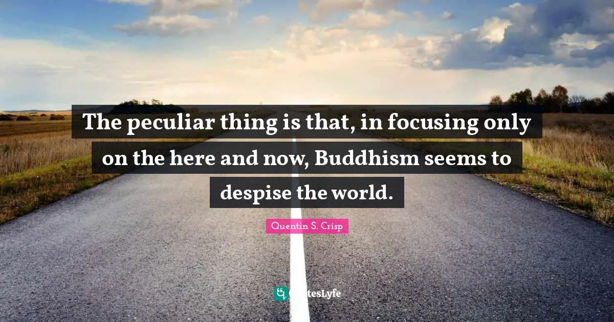The peculiar thing is that, in focusing only on the here and now, Buddhism seems to despise the world.