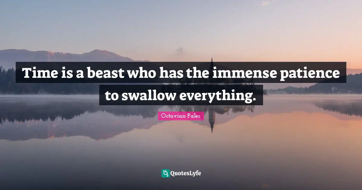 Time is a beast who has the immense patience to swallow everything.