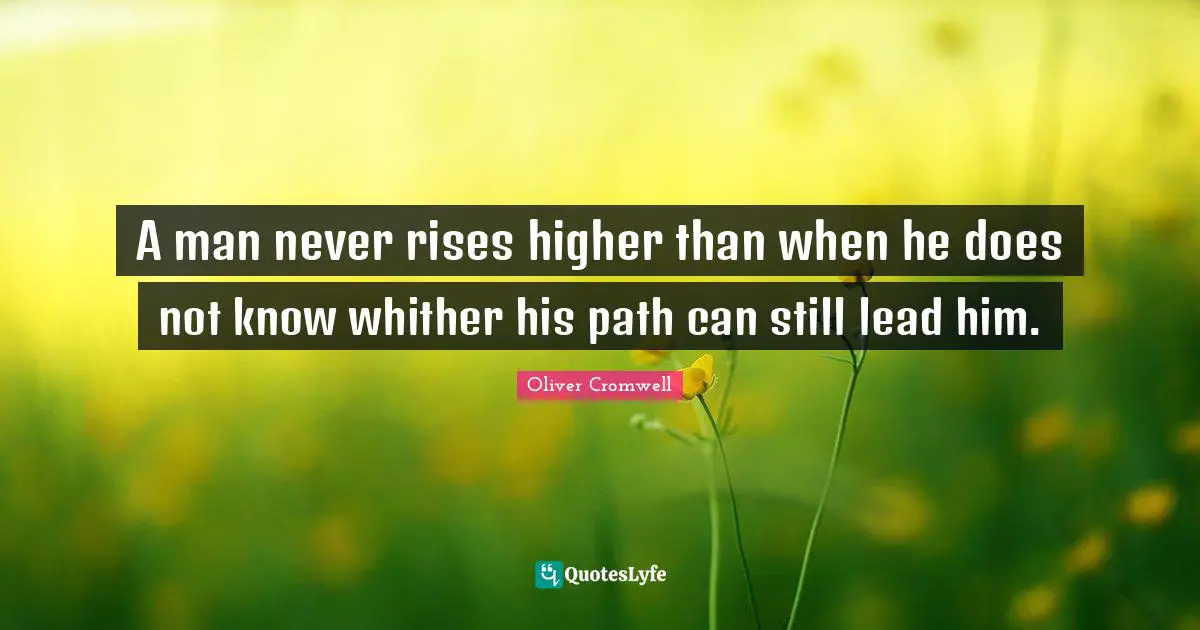 A man never rises higher than when he does not know whither his path can still lead him.