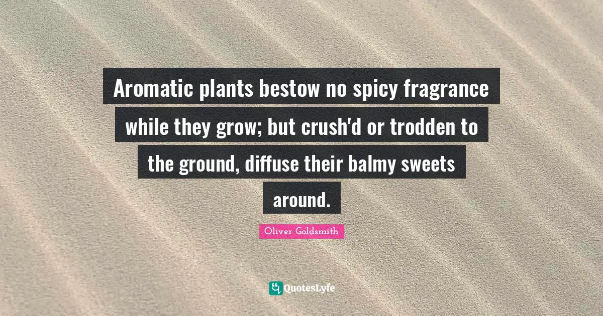 Oliver Goldsmith Quotes: "Aromatic plants bestow no spicy fragrance while they grow; but crush'd or trodden to the ground, diffuse their balmy sweets around."