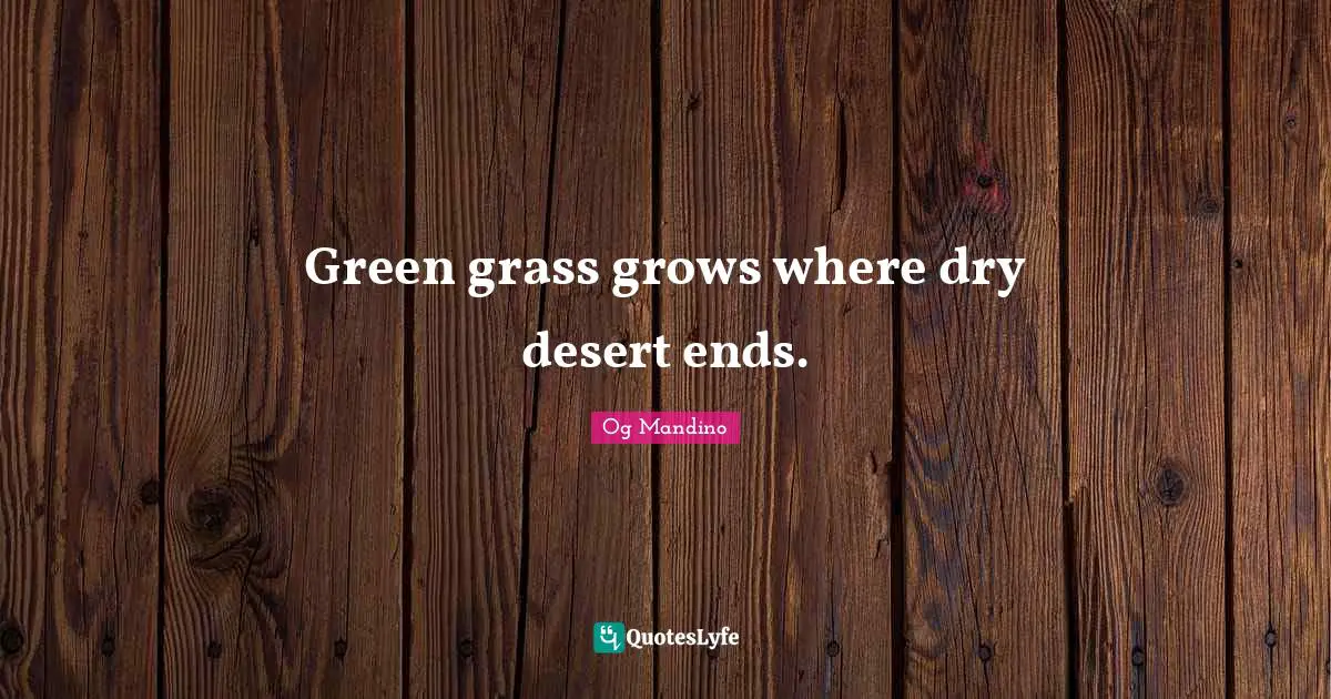 Green grass grows where dry desert ends.
