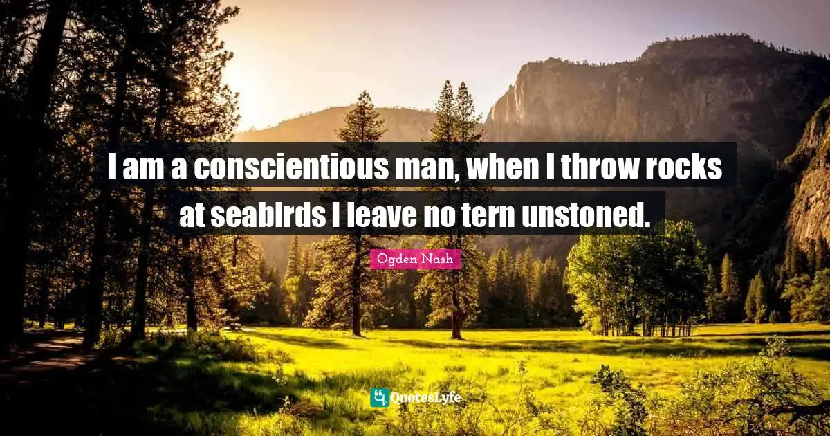 I am a conscientious man, when I throw rocks at seabirds I leave no tern unstoned.