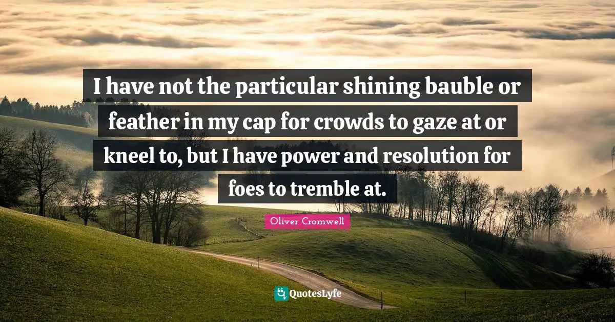 I have not the particular shining bauble or feather in my cap for crowds to gaze at or kneel to, but I have power and resolution for foes to tremble at.