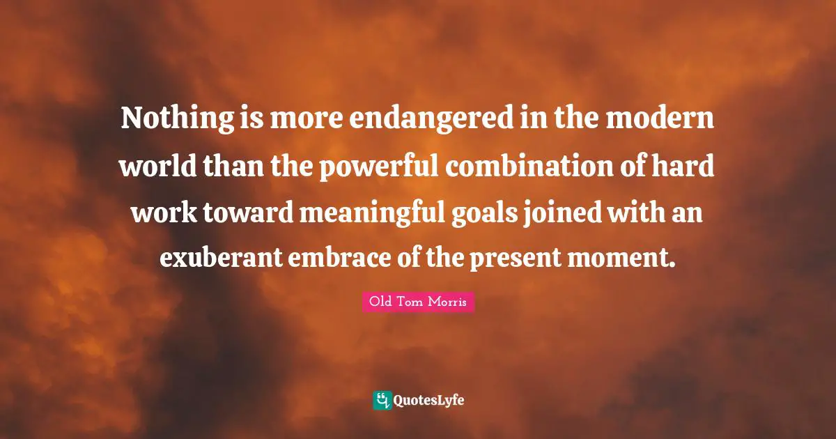 Nothing is more endangered in the modern world than the powerful combination of hard work toward meaningful goals joined with an exuberant embrace of the present moment.