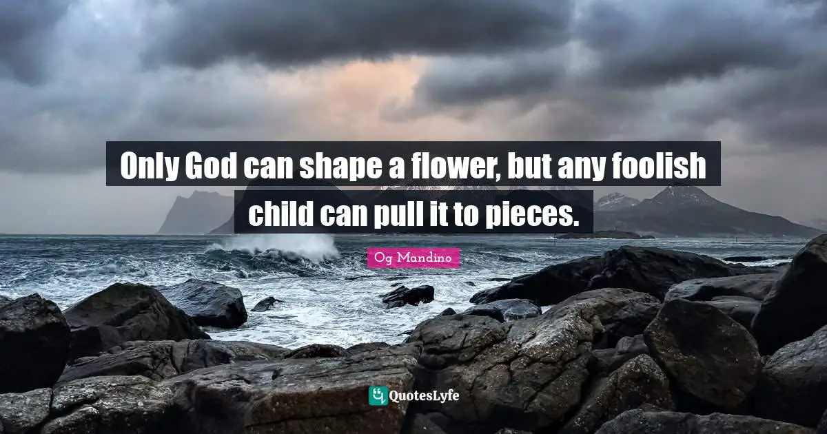 Only God can shape a flower, but any foolish child can pull it to pieces.