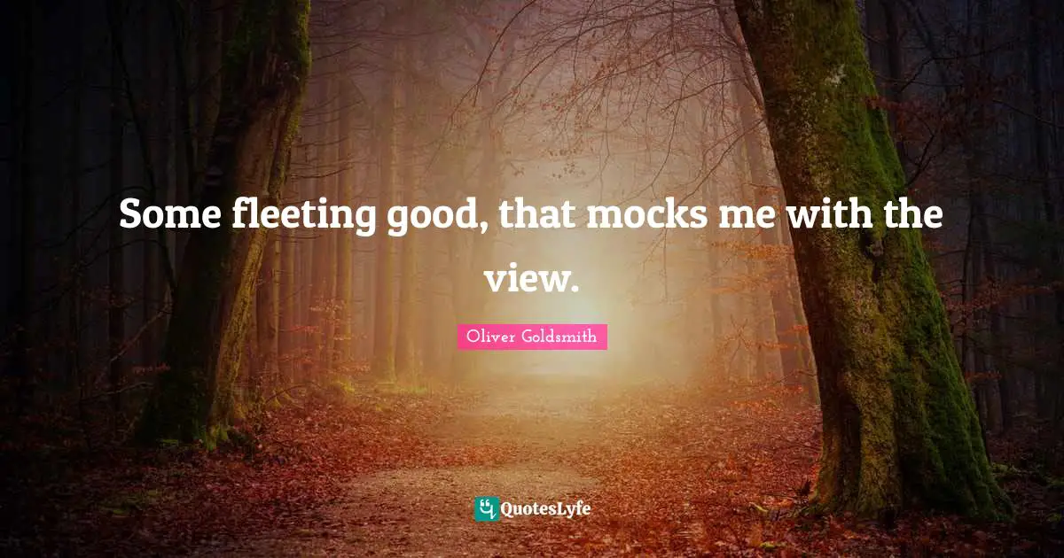 Some fleeting good, that mocks me with the view.