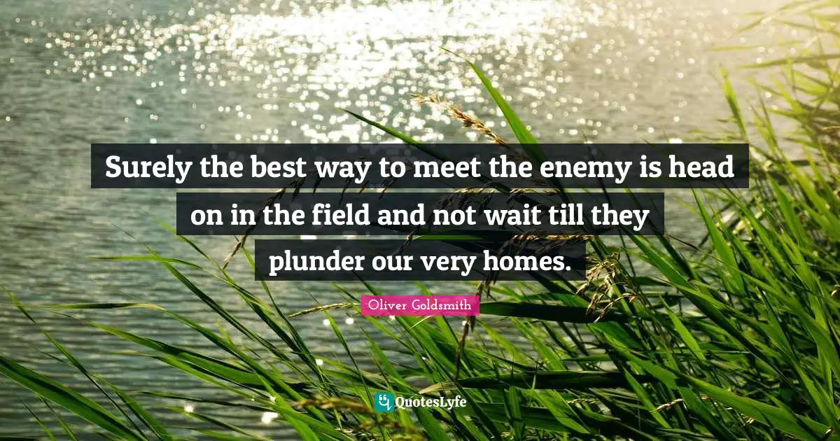 Plunder Quotes: "Surely the best way to meet the enemy is head on in the field and not wait till they plunder our very homes."