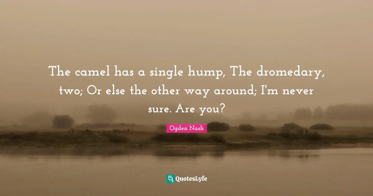Camels Quotes: "The camel has a single hump, The dromedary, two; Or else the other way around; I'm never sure. Are you?"