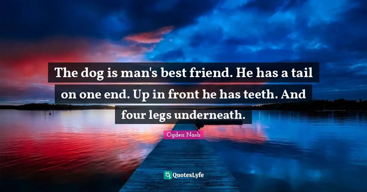 The dog is man's best friend. He has a tail on one end. Up in front he has teeth. And four legs underneath.