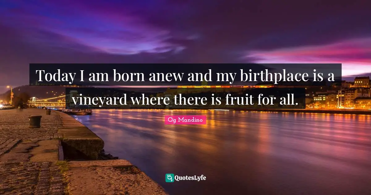 Today I am born anew and my birthplace is a vineyard where there is fruit for all.