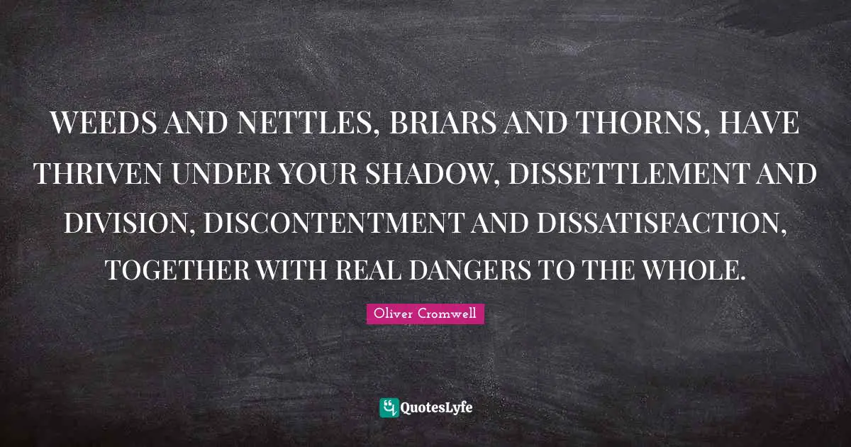 WEEDS AND NETTLES, BRIARS AND THORNS, HAVE THRIVEN UNDER YOUR SHADOW, DISSETTLEMENT AND DIVISION, DISCONTENTMENT AND DISSATISFACTION, TOGETHER WITH REAL DANGERS TO THE WHOLE.