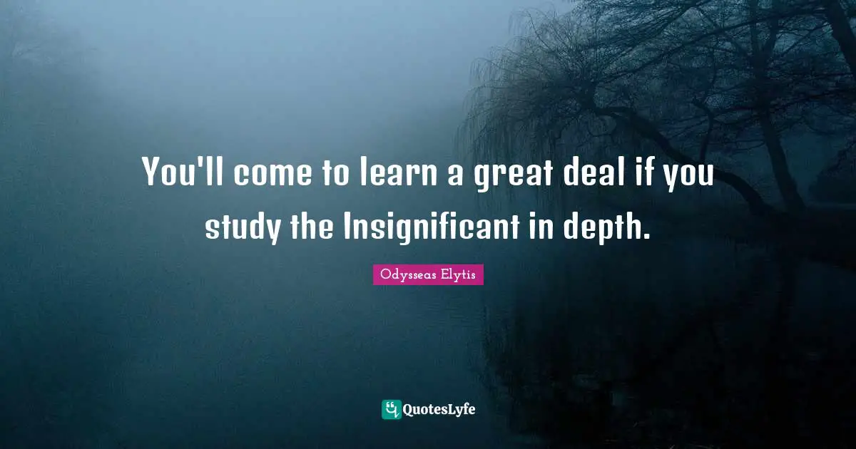 Little Things Quotes: "You'll come to learn a great deal if you study the Insignificant in depth."