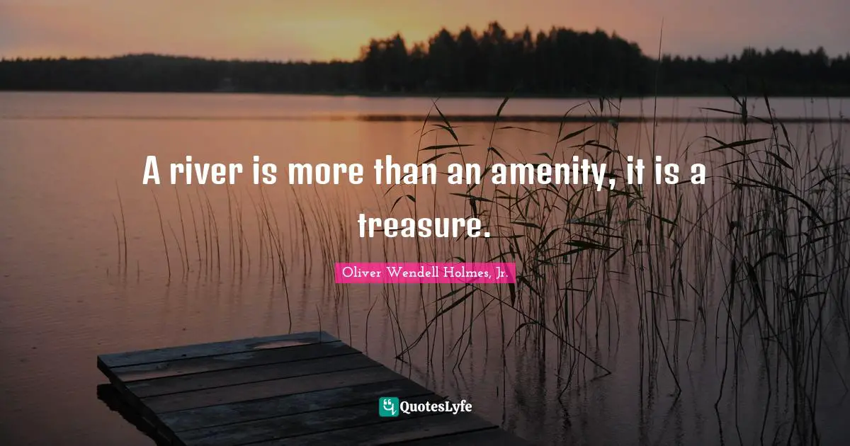 Oliver Wendell Holmes Jr. Quotes: "A river is more than an amenity, it is a treasure."