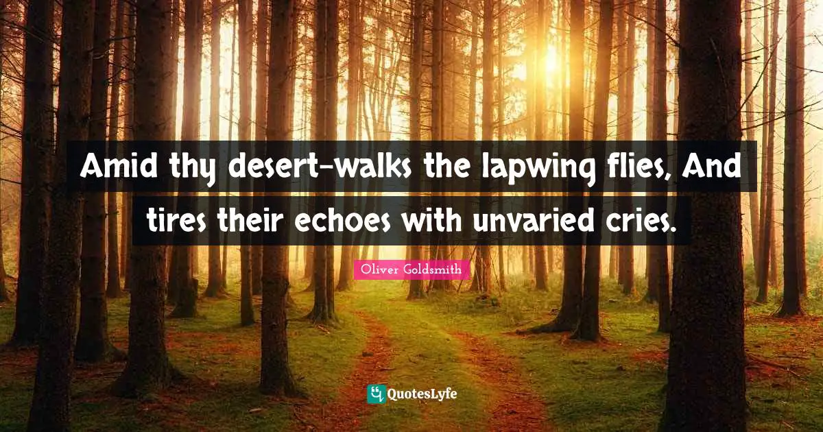 Amid thy desert-walks the lapwing flies, And tires their echoes with unvaried cries.