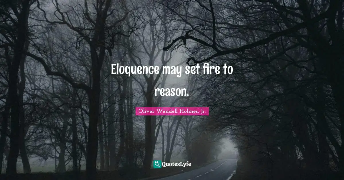 Oliver Wendell Holmes Jr. Quotes: "Eloquence may set fire to reason."