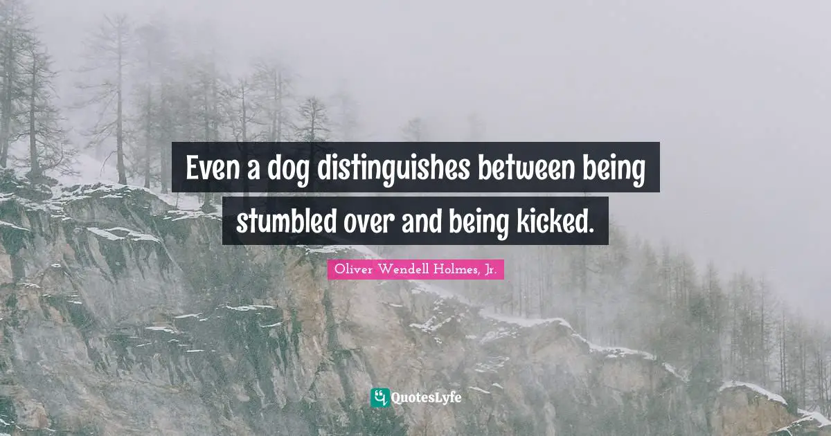 Oliver Wendell Holmes Jr. Quotes: "Even a dog distinguishes between being stumbled over and being kicked."