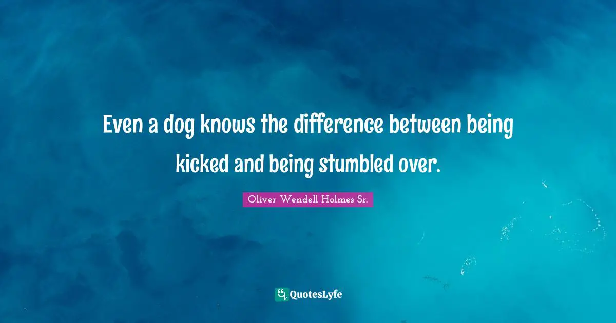 Oliver Wendell Holmes Sr. Quotes: "Even a dog knows the difference between being kicked and being stumbled over."