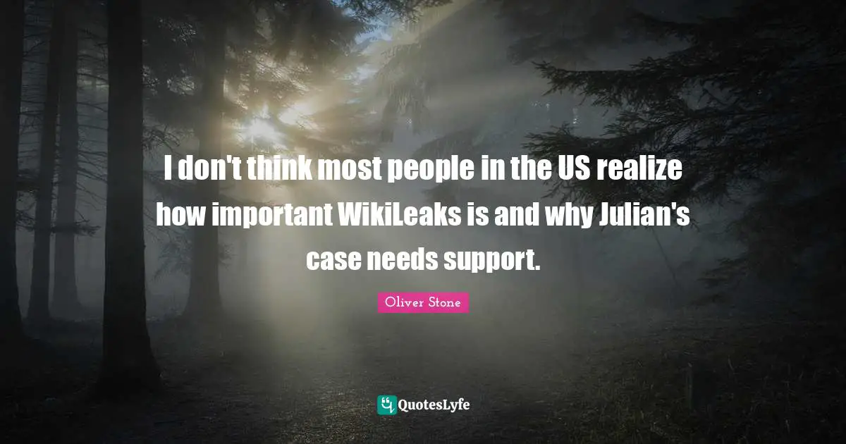 I don't think most people in the US realize how important WikiLeaks is and why Julian's case needs support.