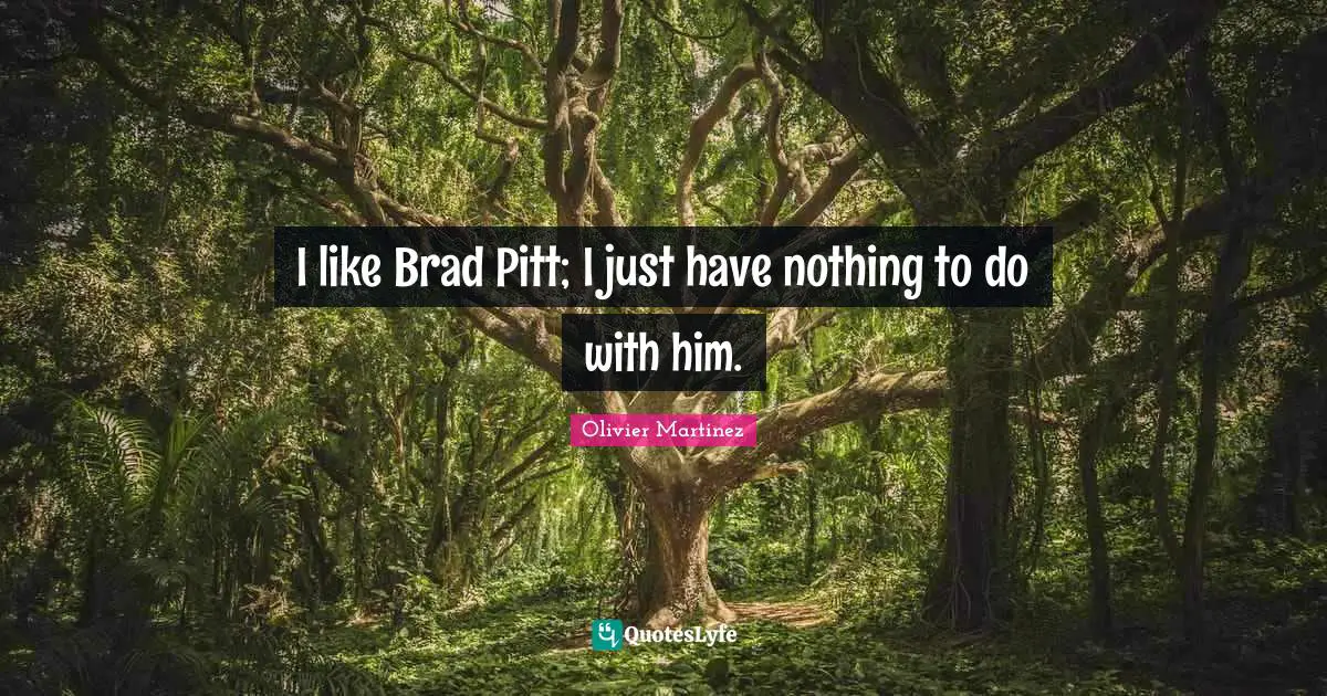 I like Brad Pitt; I just have nothing to do with him.