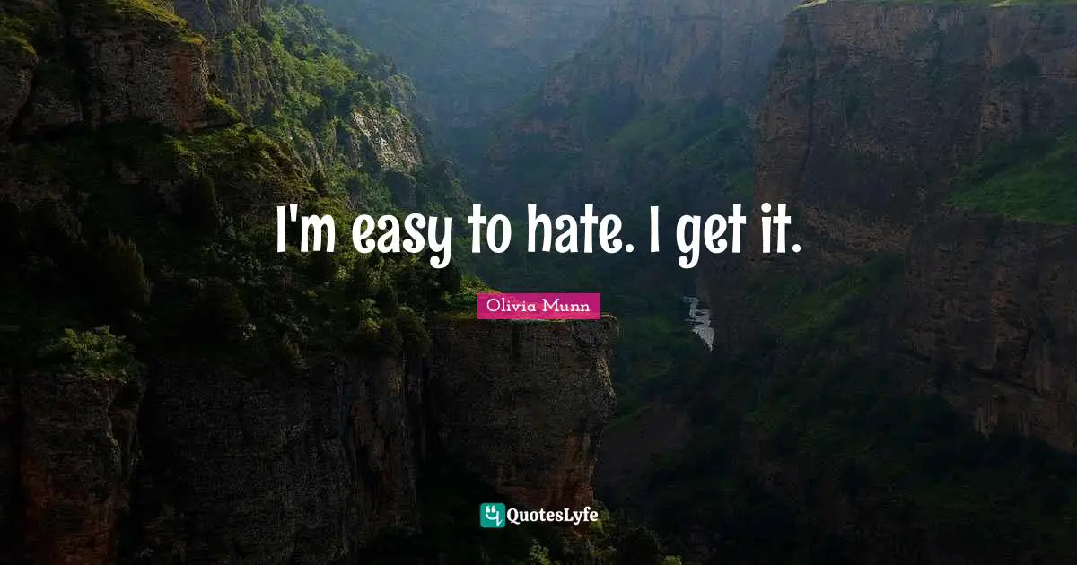 I'm easy to hate. I get it.