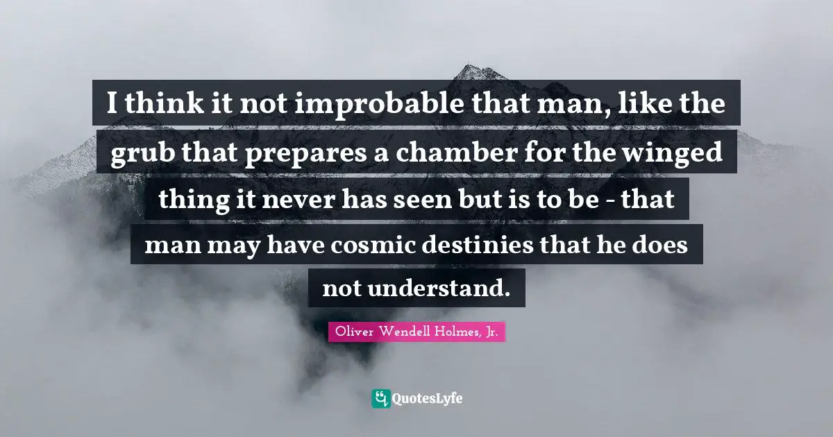 Oliver Wendell Holmes Jr. Quotes: "I think it not improbable that man, like the grub that prepares a chamber for the winged thing it never has seen but is to be - that man may have cosmic destinies that he does not understand."