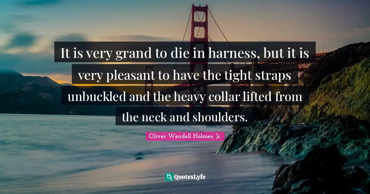 It is very grand to die in harness, but it is very pleasant to have the tight straps unbuckled and the heavy collar lifted from the neck and shoulders.