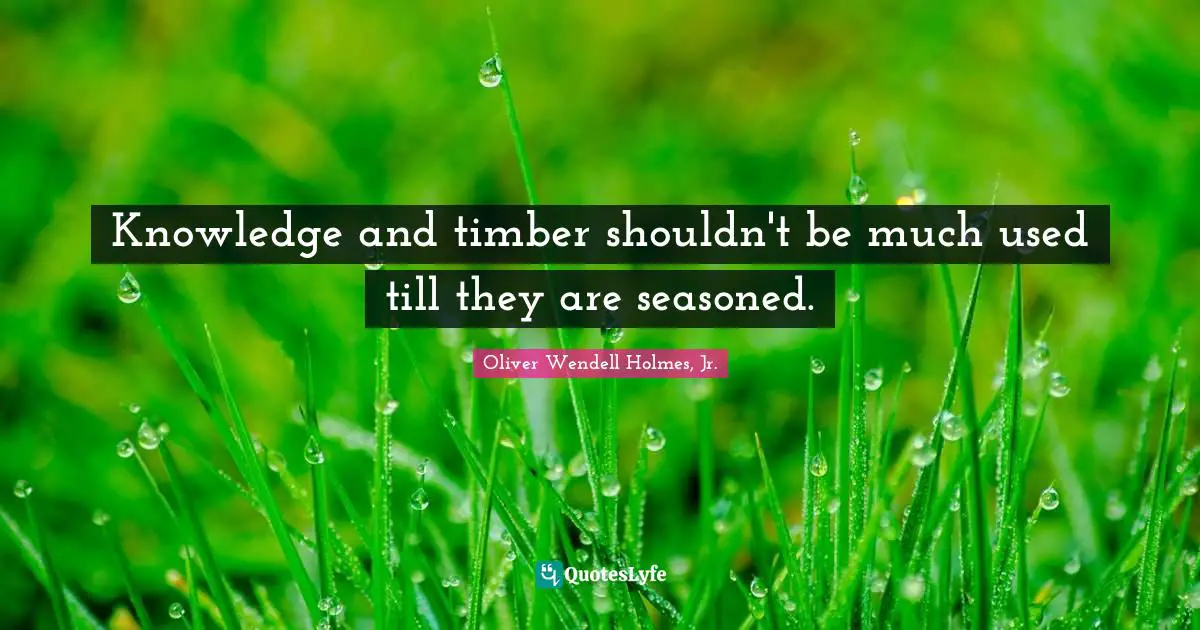 Knowledge and timber shouldn't be much used till they are seasoned.