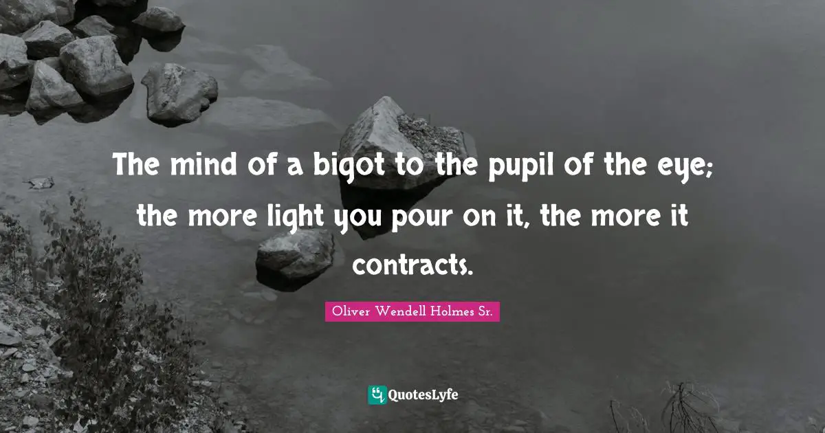 Oliver Wendell Holmes Sr. Quotes: "The mind of a bigot to the pupil of the eye; the more light you pour on it, the more it contracts."