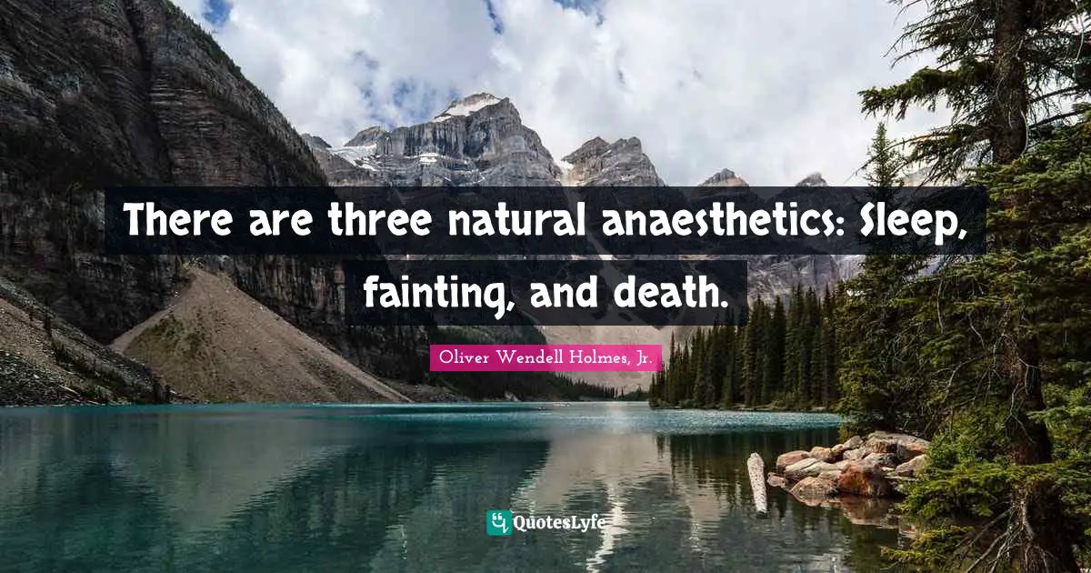 There are three natural anaesthetics: Sleep, fainting, and death.