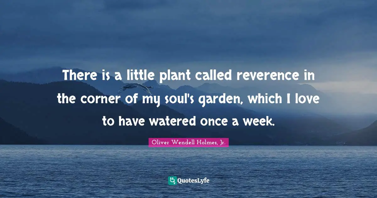 Oliver Wendell Holmes Jr. Quotes: "There is a little plant called reverence in the corner of my soul's garden, which I love to have watered once a week."
