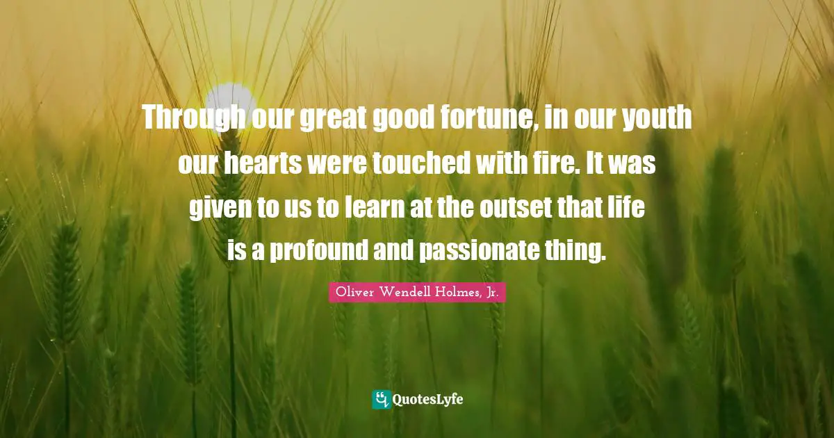 Oliver Wendell Holmes Jr. Quotes: "Through our great good fortune, in our youth our hearts were touched with fire. It was given to us to learn at the outset that life is a profound and passionate thing."